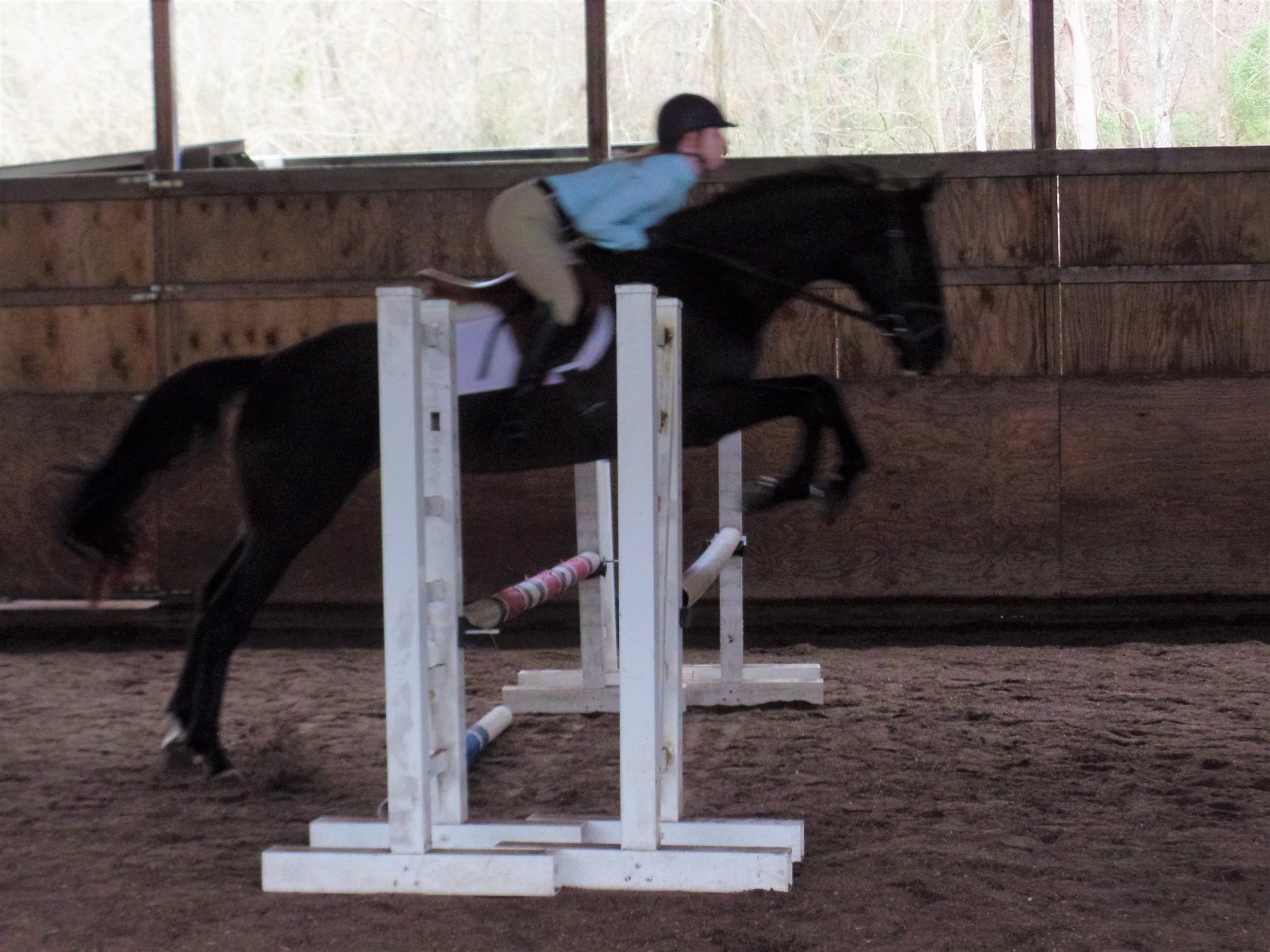 17430579_1887985444771681_330834339_o