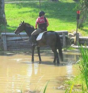 10350627_10152557617962329_4993531612058192803_n